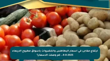 ارتفاع مفاجئ في أسعار البطاطس والخضروات بأسواق مطروح الأربعاء 6-8-2025.. كم وصلت الأسعار؟